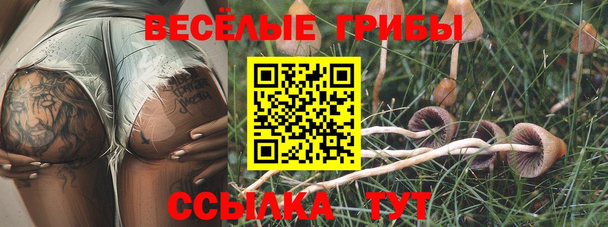 Псилоцибиновые грибы прущие грибы Красноуфимск